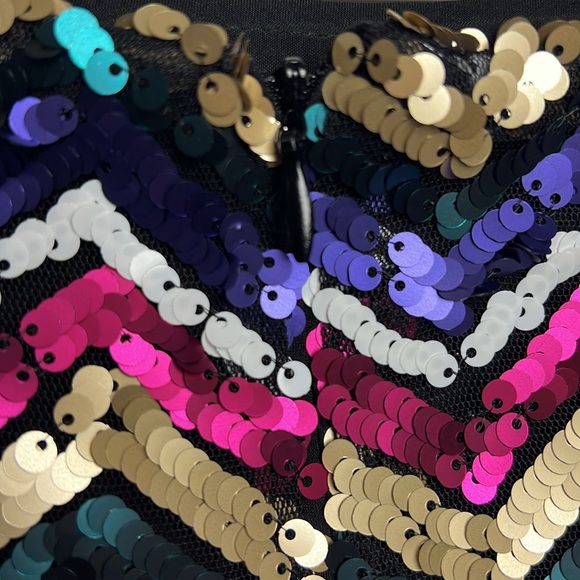 Anthropologie Hutch Chevron Rainbow Sequin Mini Skirt Size Large - Picture 7 of 10
